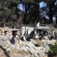Tierpark - Pinguine