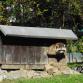 Foto: Aachener Tierpark - Waschbär