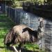 Foto: Aachener Tierpark - Tiergehege