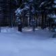 Foto - Winterimpressionen 