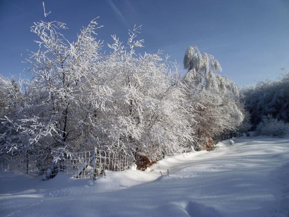 Foto - Winterimpressionen 3