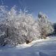 Foto - Winterimpressionen 3