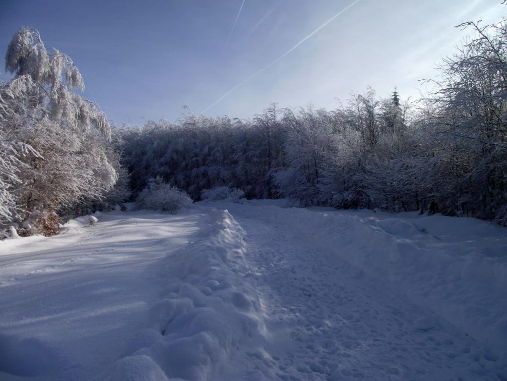 Foto - Winterimpressionen 5