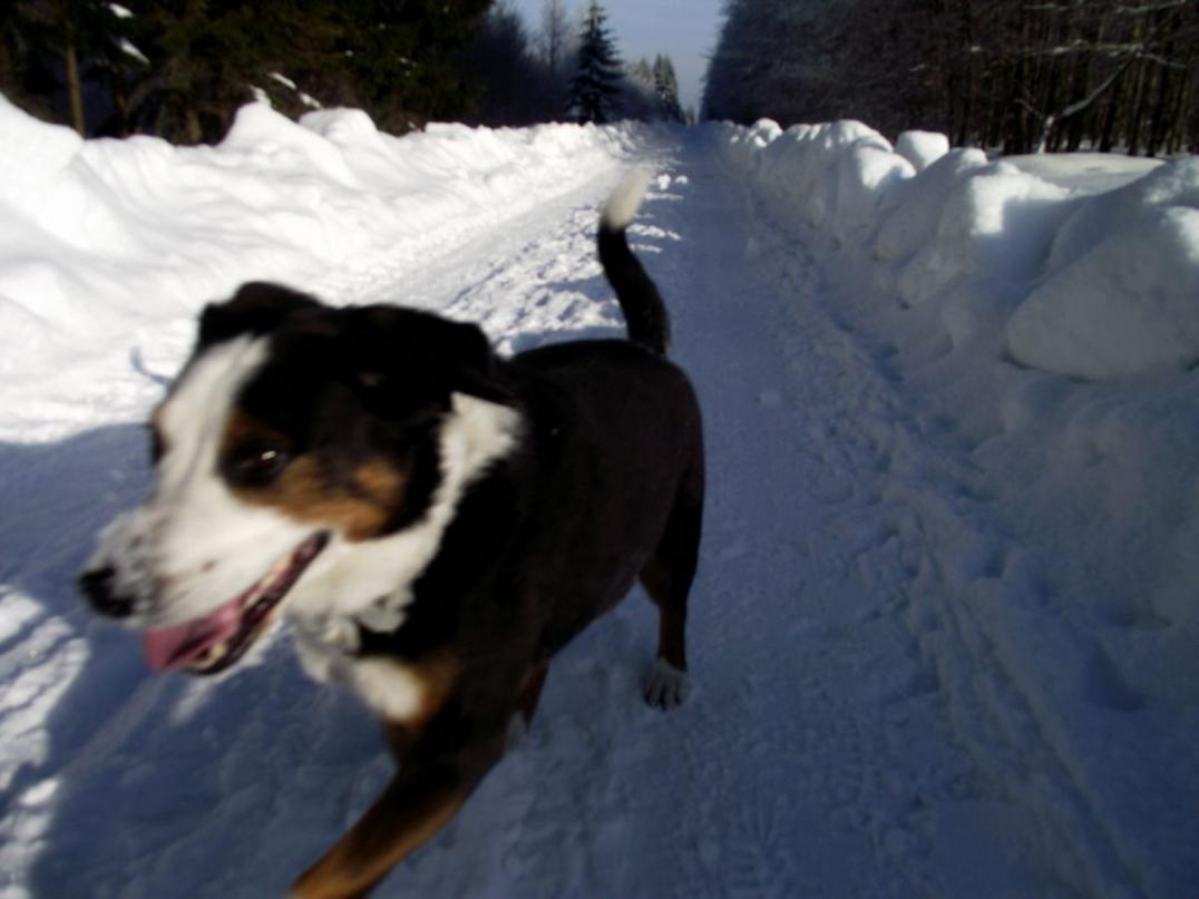 Foto von Leila im Schnee