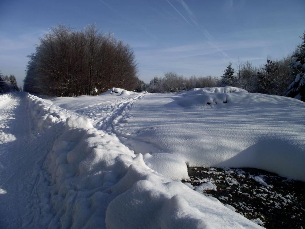 Foto - Winterimpressionen 6