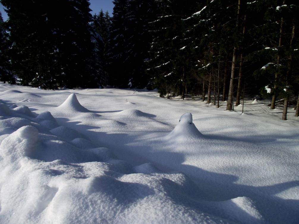 Foto - Winterimpressionen 8