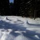 Foto - Winterimpressionen 8