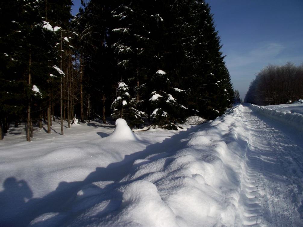 Foto - Winterimpressionen 4