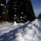 Foto - Winterimpressionen 4