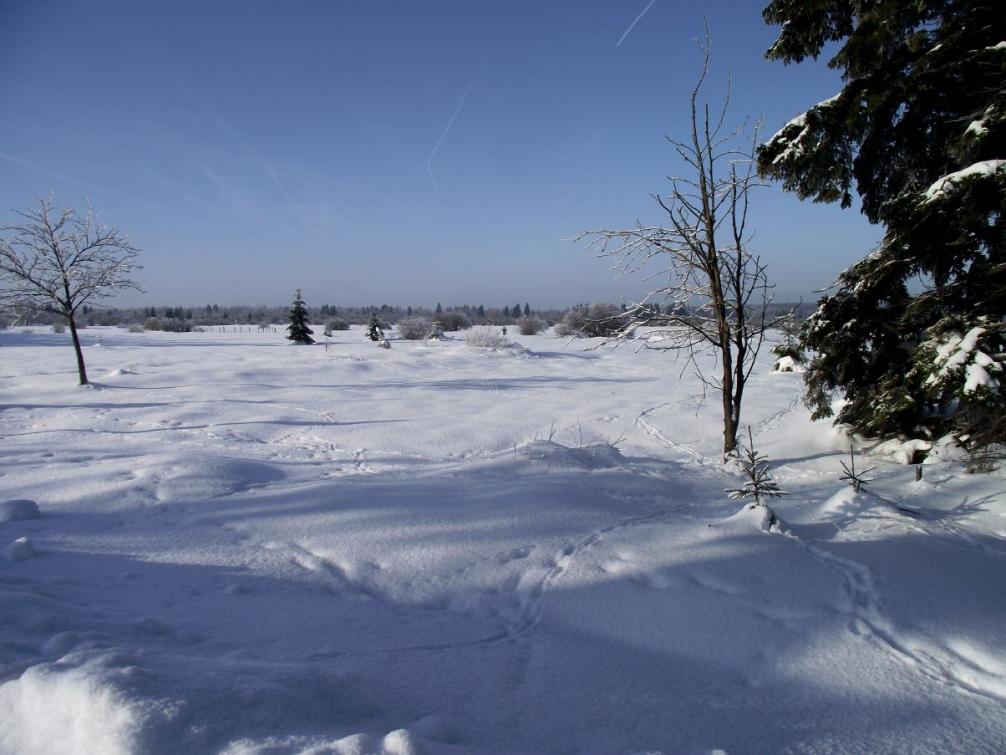 Foto - Winterimpressionen 7