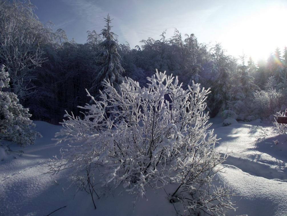 Foto - Winterimpressionen 9