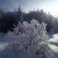 Foto - Winterimpressionen 9