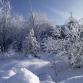 Foto - Winterimpressionen 2